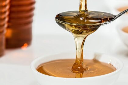 découvrez l'authenticité et la douceur du sirop d'érable, un trésor du canada. idéal pour sucrer vos plats, il se marie parfaitement avec les crêpes, les gaufres et bien plus encore. explorez ses bienfaits et ses usages variés dans notre guide complet.