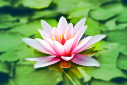 découvrez l'art de la méditation pour apaiser votre esprit, réduire le stress et favoriser le bien-être. explorez différentes techniques et conseils pour intégrer la méditation dans votre quotidien et améliorer votre qualité de vie.