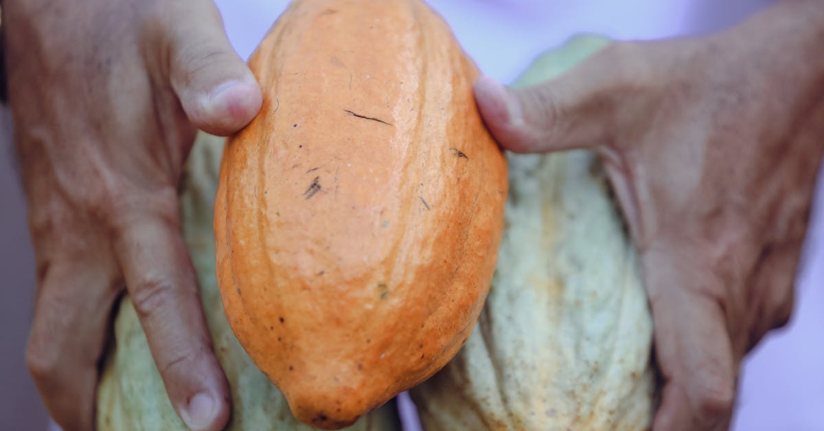 découvrez les nombreux bienfaits du lait pour la santé : riche en calcium, vitamine d et protéines, il contribue à renforcer les os, favoriser la croissance musculaire et maintenir une peau saine. apprenez comment intégrer le lait dans votre alimentation quotidienne pour tirer profit de ses vertus nutritionnelles.