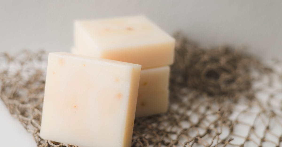 découvrez les avantages du lait pour la santé, y compris ses bienfaits pour les os, sa richesse en nutriments essentiels, et son rÎle dans l'hydratation et la digestion. transformez votre quotidien avec ces vertus nutritionnelles!