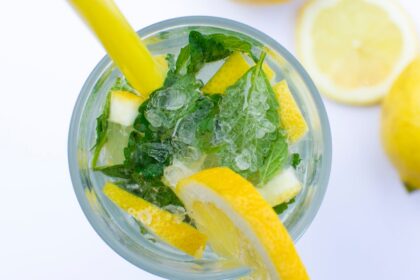 découvrez le mint, cette plante aromatique aux mille vertus ! apprenez tout sur ses utilisations en cuisine, ses bienfaits pour la santé et comment la cultiver chez vous. un véritable incontournable pour rehausser vos plats et vos boissons.