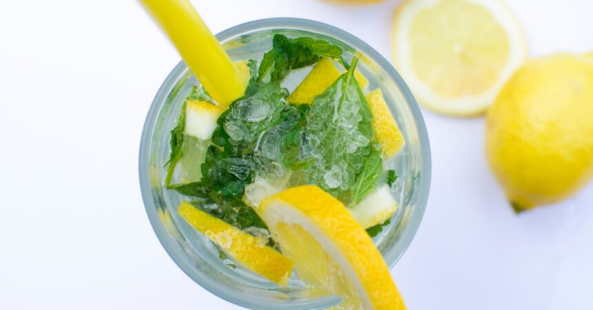 découvrez le mint, cette plante aromatique aux mille vertus ! apprenez tout sur ses utilisations en cuisine, ses bienfaits pour la santé et comment la cultiver chez vous. un véritable incontournable pour rehausser vos plats et vos boissons.