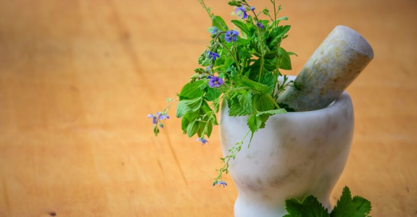 découvrez le mint, une herbe aromatique au goût frais et revigorant, parfaite pour rehausser vos plats, cocktails et infusions. apprenez ses bienfaits, ses usages en cuisine et comment cultiver cette plante en pot ou au jardin.