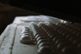 découvrez tout sur les moisissures : types, dangers pour la santé, prévention et solutions pour un environnement sain. apprenez à identifier et à traiter les moisissures pour garder votre maison propre et sécurisée.