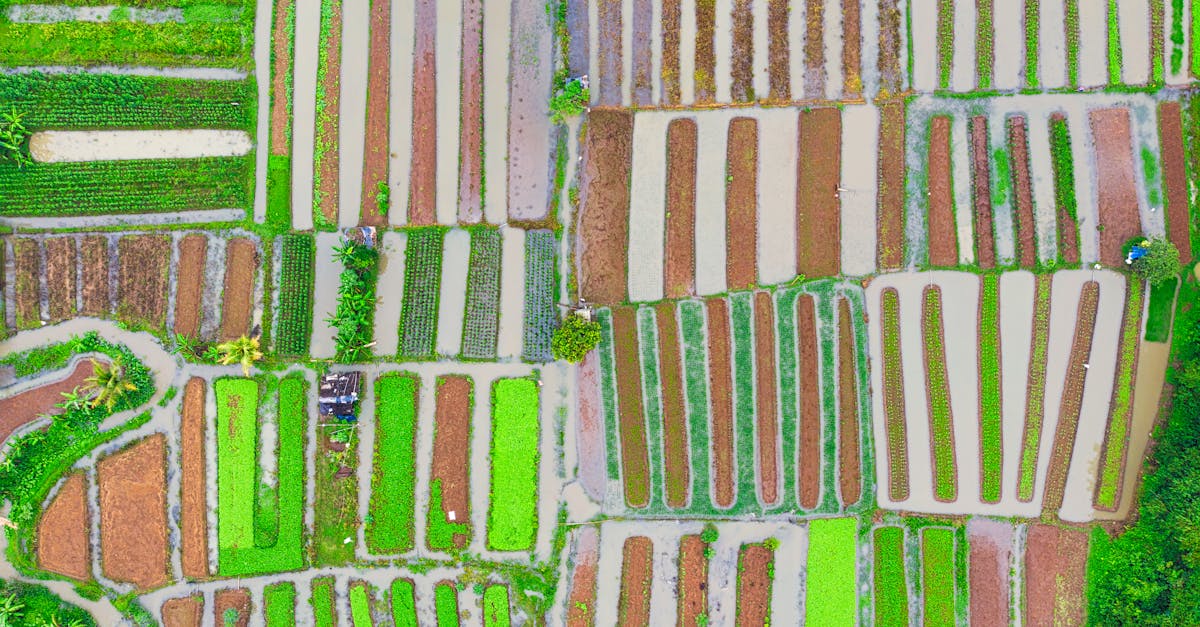 découvrez les bienfaits de l'irrigation nasale pour améliorer votre santé respiratoire. apprenez comment cette méthode naturelle peut soulager les congestions, réduire les allergies et favoriser une meilleure respiration au quotidien.