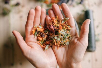 découvrez les remèdes naturels pour améliorer votre bien-être au quotidien. explorez des solutions à base de plantes, huiles essentielles et techniques douces pour soulager divers maux, renforcer votre système immunitaire et promouvoir une vie saine. adoptez une approche naturelle pour prendre soin de vous.