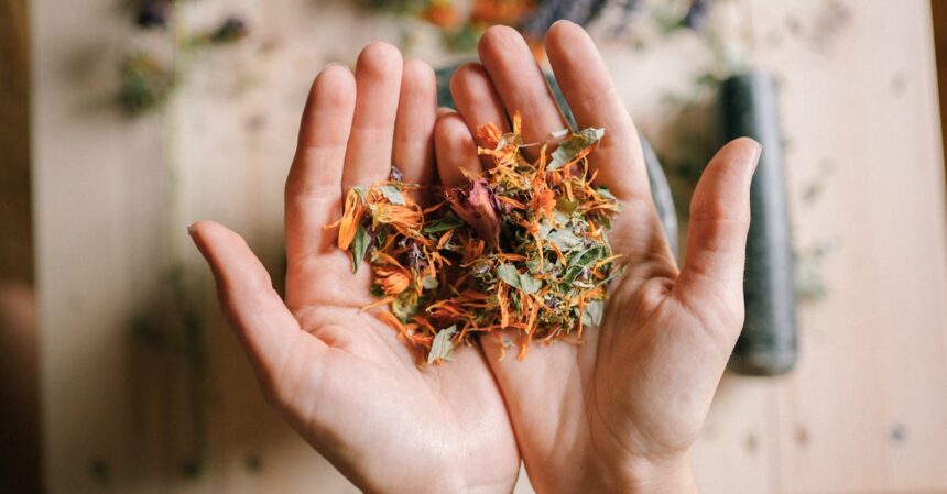 découvrez les remèdes naturels pour améliorer votre bien-être au quotidien. explorez des solutions à base de plantes, huiles essentielles et techniques douces pour soulager divers maux, renforcer votre système immunitaire et promouvoir une vie saine. adoptez une approche naturelle pour prendre soin de vous.