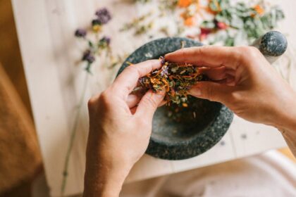 découvrez des remèdes naturels efficaces pour améliorer votre bien-être au quotidien. explorez des solutions simples et saines qui tirent parti des bienfaits des plantes et des ingrédients naturels.