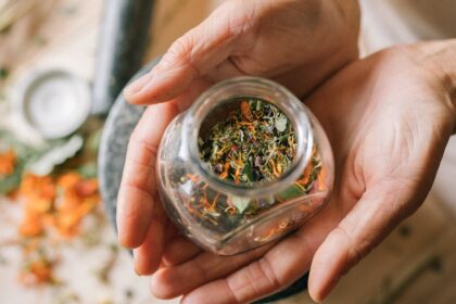 découvrez des remèdes naturels efficaces pour améliorer votre bien-être. explorez des solutions à base de plantes, d'huiles essentielles et de techniques ancestrales pour soulager divers maux et favoriser une santé optimale.