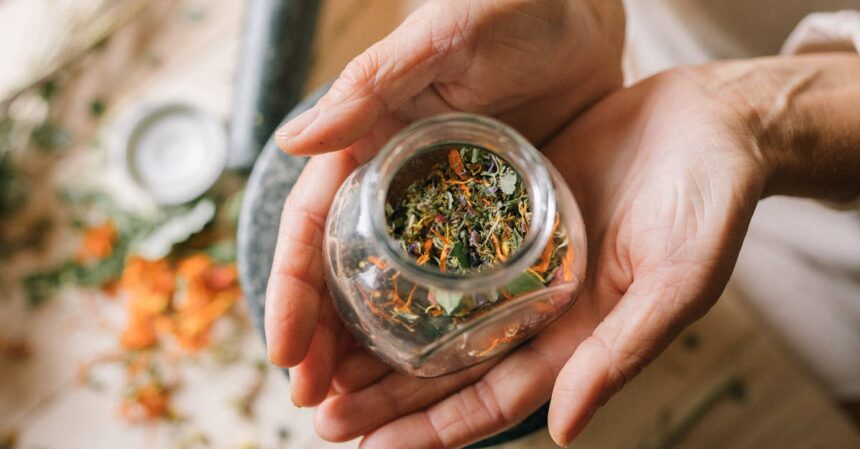 découvrez des remèdes naturels efficaces pour améliorer votre bien-être. explorez des solutions à base de plantes, d'huiles essentielles et de techniques ancestrales pour soulager divers maux et favoriser une santé optimale.
