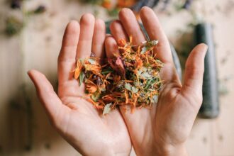 découvrez des remèdes naturels efficaces pour améliorer votre bien-être et soulager divers maux au quotidien. explorez nos conseils et astuces pour une approche holistique de la santé.