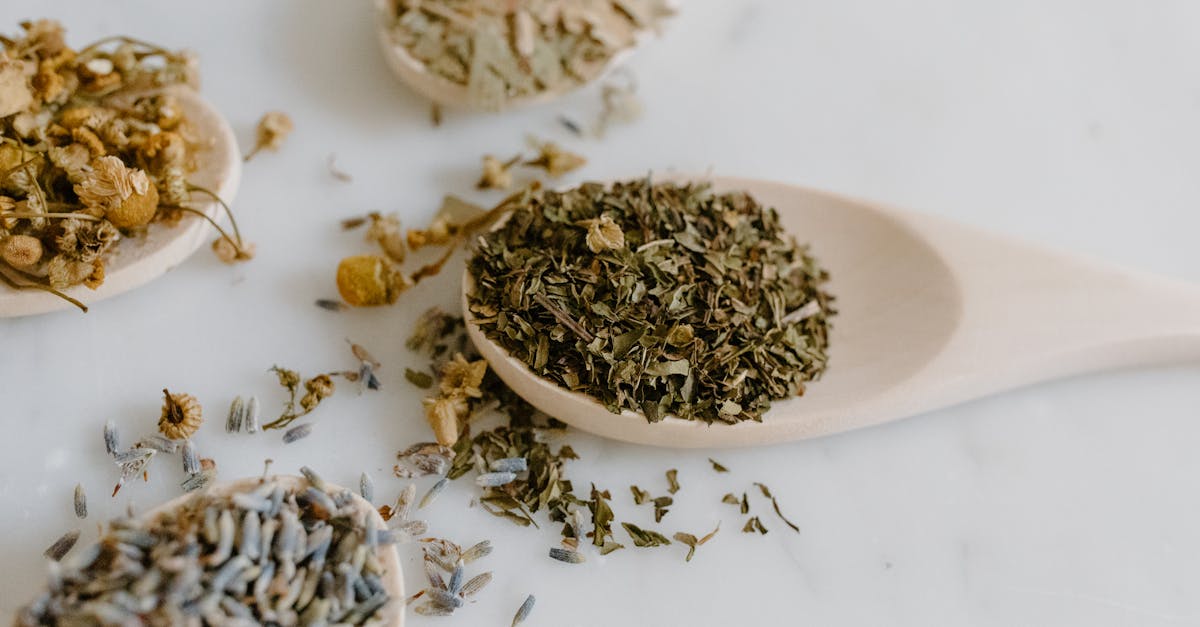 découvrez les remèdes naturels pour améliorer votre bien-être au quotidien. apprenez à utiliser les plantes, huiles essentielles et autres solutions douces pour soulager les maux courants tout en respectant votre corps.
