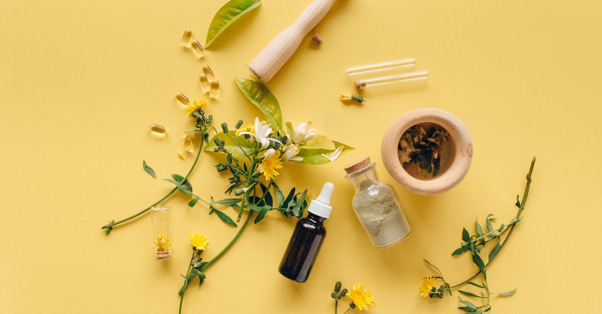 découvrez des remèdes naturels efficaces pour améliorer votre bien-être. explorez des solutions à base de plantes, d'huiles essentielles et de techniques holistiques pour soulager divers maux et favoriser une santé optimale.
