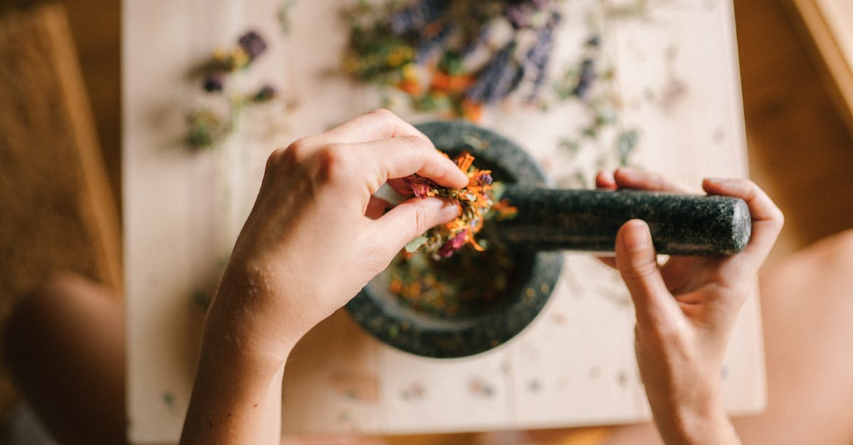 découvrez des remèdes naturels pour améliorer votre bien-être au quotidien. explorez des solutions saines et efficaces pour soulager divers maux, tout en respectant l'équilibre de votre corps. adoptez une approche douce et naturelle pour votre santé.