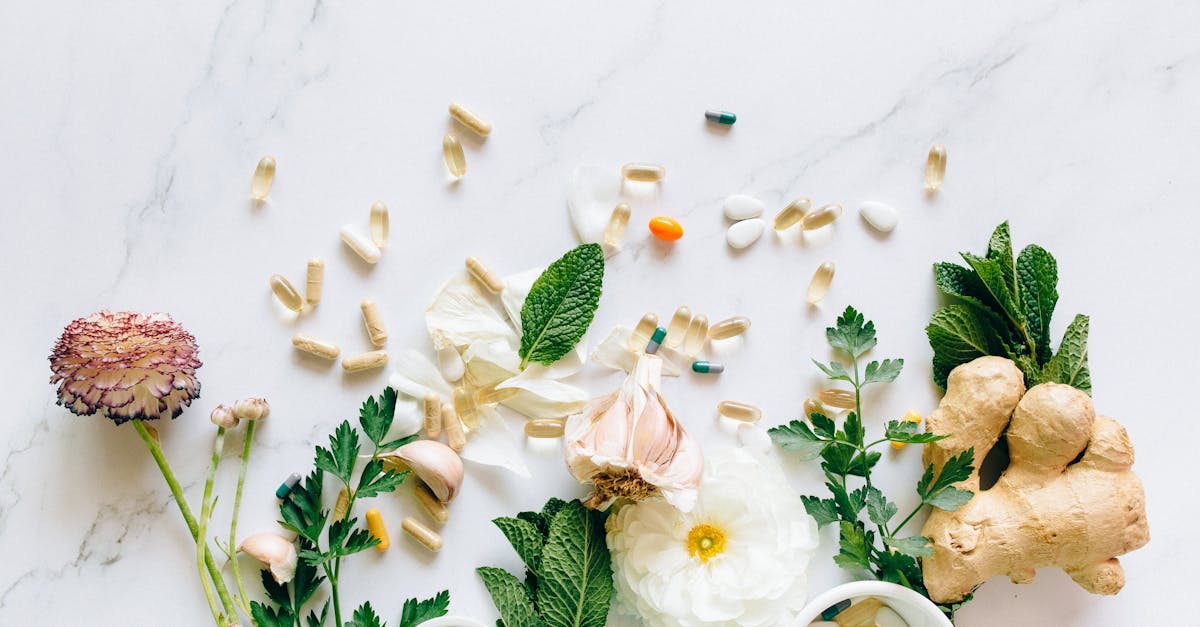 découvrez les bienfaits des remèdes naturels pour améliorer votre santé et votre bien-être. explorez des solutions à base de plantes et de ressources naturelles pour apaiser les maux du quotidien.