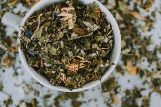 découvrez des remèdes naturels efficaces pour améliorer votre bien-être au quotidien. explorez des solutions simples et naturelles pour soulager divers maux et favoriser une santé optimale.