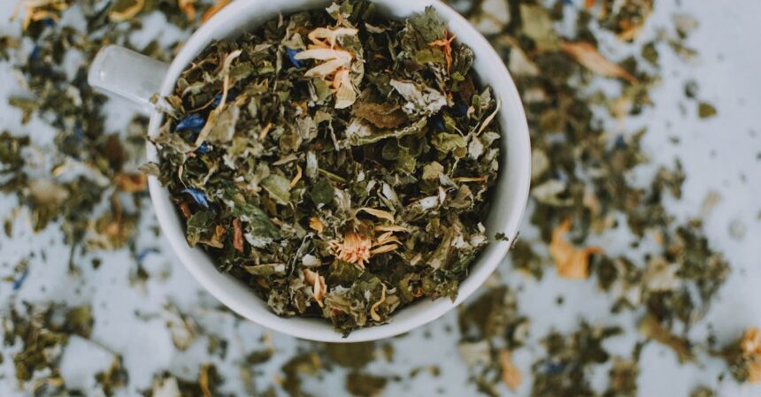 découvrez des remèdes naturels efficaces pour améliorer votre bien-être au quotidien. explorez des solutions simples et naturelles pour soulager divers maux et favoriser une santé optimale.