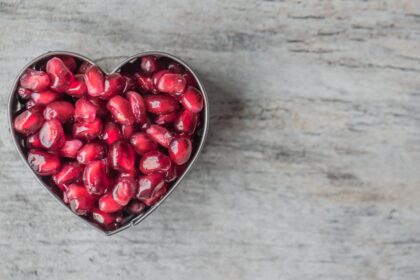 découvrez l'univers de la nutrition : des conseils pratiques pour une alimentation équilibrée, des recettes saines et des informations sur les nutriments essentiels pour améliorer votre bien-être au quotidien.