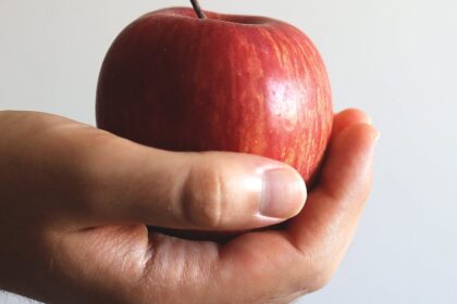 découvrez l'importance d'un nutritionniste pour améliorer votre santé et votre bien-être. profitez de conseils personnalisés sur l'alimentation équilibrée, la gestion du poids et des habitudes alimentaires saines pour une vie meilleure.