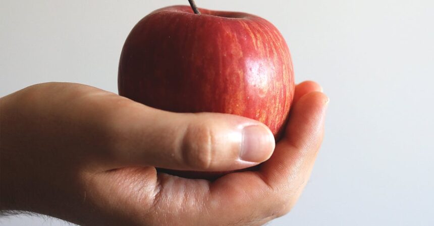 découvrez l'importance d'un nutritionniste pour améliorer votre santé et votre bien-être. profitez de conseils personnalisés sur l'alimentation équilibrée, la gestion du poids et des habitudes alimentaires saines pour une vie meilleure.
