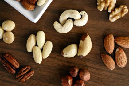 découvrez l'univers des noix : bienfaits pour la santé, variétés, recettes gourmandes et conseils pour les intégrer dans votre alimentation au quotidien.