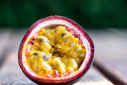 découvrez les bienfaits de la passiflore, une plante aux propriétés apaisantes et relaxantes. explorez son utilisation en phytothérapie, ses vertus pour le sommeil et l'anxiété, et comment l'intégrer dans votre routine bien-être.