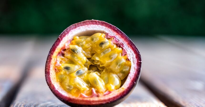 découvrez les bienfaits de la passiflore, une plante aux propriétés apaisantes et relaxantes. explorez son utilisation en phytothérapie, ses vertus pour le sommeil et l'anxiété, et comment l'intégrer dans votre routine bien-être.