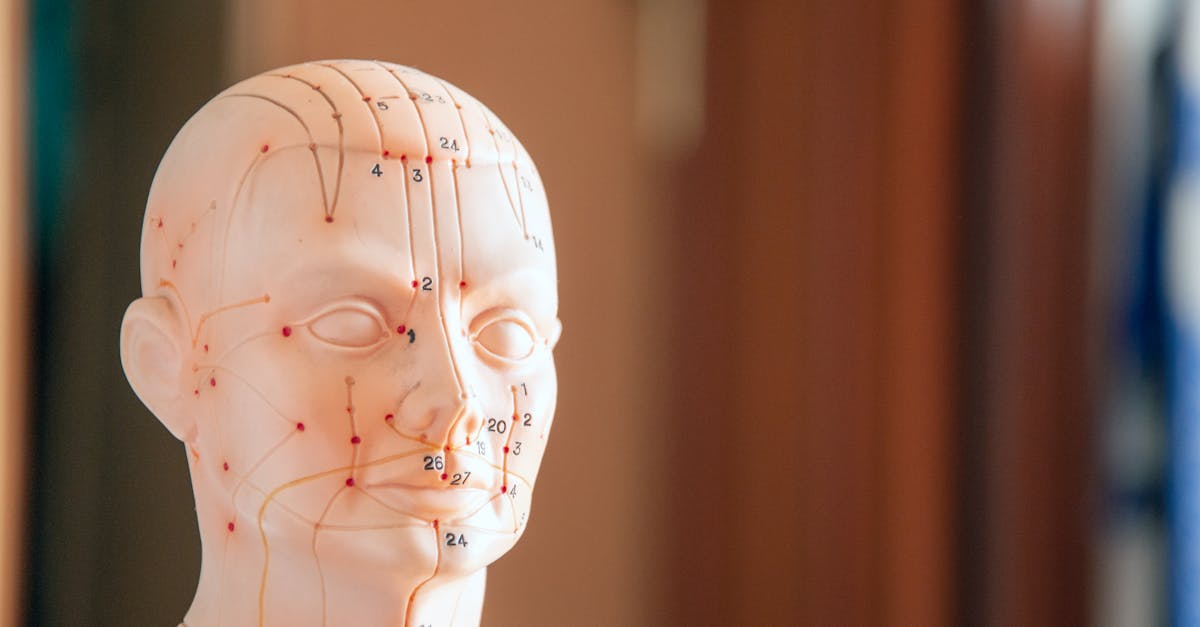 découvrez l'univers de la physiothérapie, une discipline essentielle pour le rétablissement physique. nos experts vous accompagnent grâce à des traitements personnalisés, alliant techniques manuelles et exercices adaptés pour soulager vos douleurs et améliorer votre mobilité.