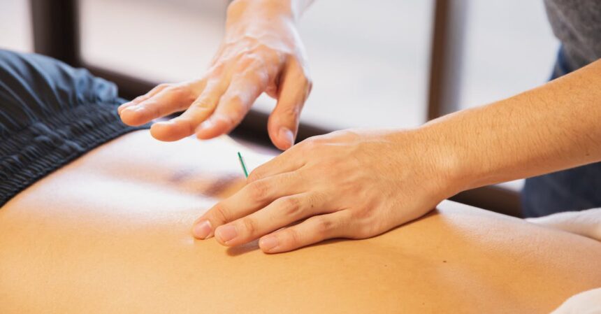 découvrez la physiothérapie, une approche thérapeutique innovante pour soulager vos douleurs, améliorer votre mobilité et optimiser votre bien-être. nos professionnels qualifiés vous accompagnent dans votre récupération grâce à des techniques adaptées à vos besoins.