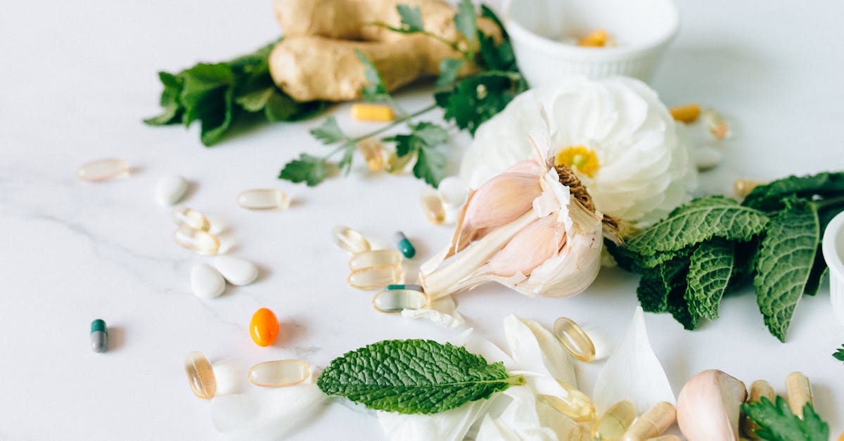 découvrez les bienfaits de la phytothérapie, une méthode naturelle de soins utilisant les plantes pour améliorer votre santé et votre bien-être. apprenez à intégrer les remèdes végétaux dans votre quotidien pour soulager divers maux et favoriser une vie plus équilibrée.