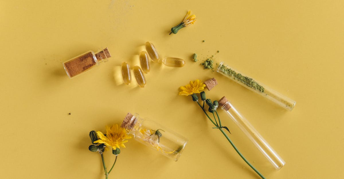 découvrez la phytothérapie, une approche naturelle de la santé qui utilise les propriétés des plantes pour prévenir et traiter divers maux. explorez ses bienfaits, ses méthodes d'application et comment intégrer cette médecine douce dans votre quotidien.