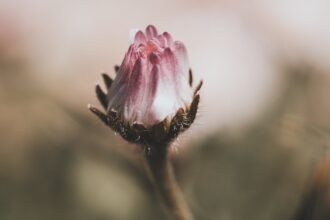 restez informé des alertes pollen et protégez-vous des allergies saisonnières. consultez nos prévisions quotidiennes pour savoir quand les niveaux de pollen sont élevés et prenez les mesures nécessaires pour profiter pleinement de l'extérieur sans inconfort.