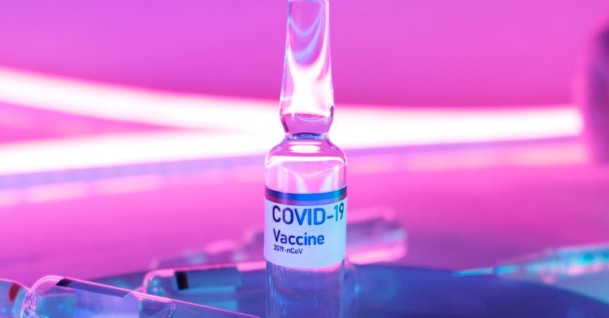 découvrez les traitements préventifs essentiels pour maintenir votre santé et prévenir les maladies. informez-vous sur les meilleures pratiques et conseils pour une vie saine.
