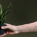 découvrez tout sur les éruptions cutanées (rash) : causes, symptômes, traitements et conseils pour apaiser votre peau. informez-vous sur les différents types de rash et comment prévenir leur apparition.