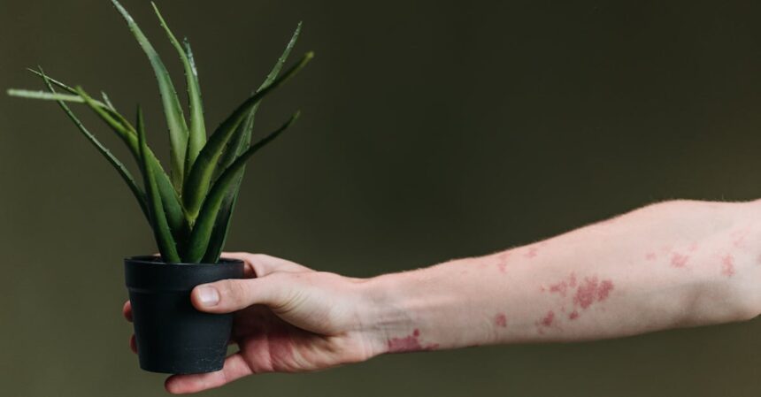 découvrez tout sur les éruptions cutanées (rash) : causes, symptômes, traitements et conseils pour apaiser votre peau. informez-vous sur les différents types de rash et comment prévenir leur apparition.