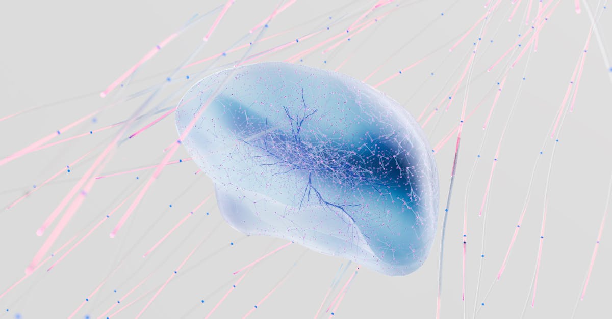 découvrez le fonctionnement fascinant du système respiratoire, son rôle essentiel dans notre corps, les mécanismes de la respiration, ainsi que les maladies courantes qui peuvent l'affecter. apprenez comment prendre soin de votre santé respiratoire pour améliorer votre bien-être quotidien.
