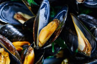 découvrez les nombreux bienfaits pour la santé des fruits de mer. riches en oméga-3, protéines et minéraux essentiels, les fruits de mer sont un choix nutritif qui favorise une bonne santé cardiovasculaire, soutient le développement cérébral et contribue à un mode de vie équilibré. explorez les avantages incontournables de ces délices marins !