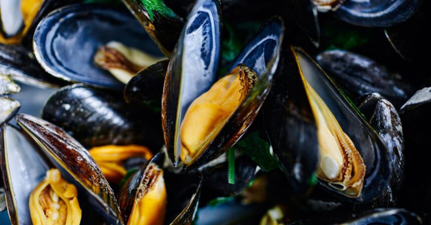 découvrez les nombreux bienfaits pour la santé des fruits de mer. riches en oméga-3, protéines et minéraux essentiels, les fruits de mer sont un choix nutritif qui favorise une bonne santé cardiovasculaire, soutient le développement cérébral et contribue à un mode de vie équilibré. explorez les avantages incontournables de ces délices marins !