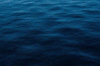 découvrez les incroyables bienfaits de l'eau de mer pour la santé et le bien-être. apprenez comment les minéraux et oligo-éléments présents dans l'eau salée peuvent revitaliser votre corps, améliorer votre peau et booster votre système immunitaire.