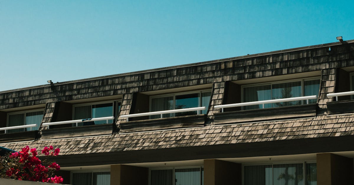 découvrez tout ce qu'il faut savoir sur les shingles : symptÎmes, causes, traitements et conseils pour soulager la douleur. informez-vous sur cette infection virale et comment prévenir son apparition.