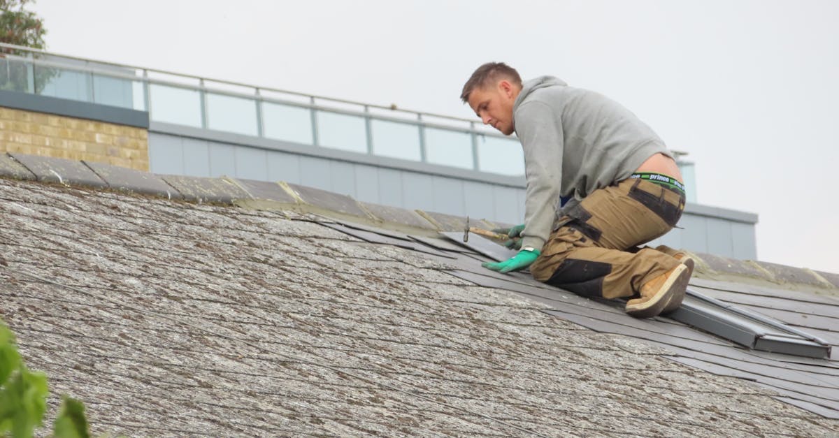 découvrez tout sur les shingles, une maladie virale souvent méconnue. informez-vous sur ses symptÎmes, ses causes et les traitements disponibles pour mieux gérer cette infection et protéger votre santé.