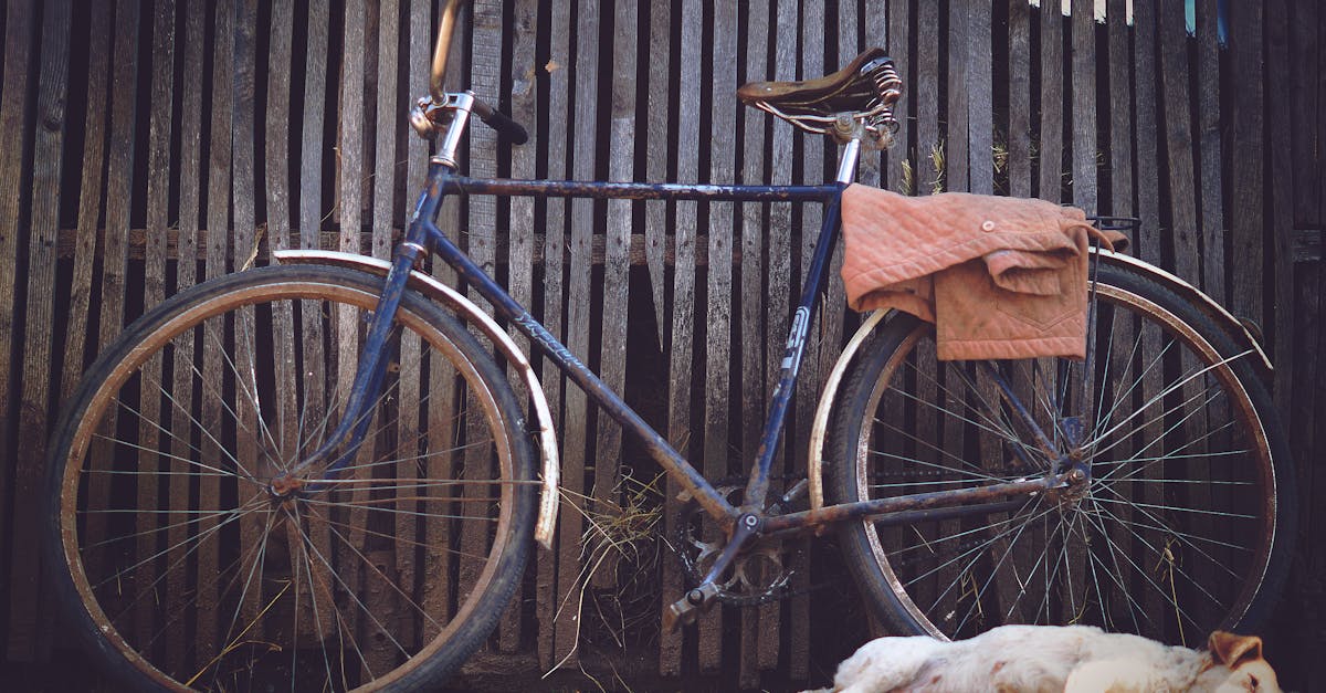 dĂ©couvrez l'importance du cycle de sommeil pour votre santĂ© et votre bien-ĂȘtre. apprenez comment optimiser vos habitudes nocturnes pour amĂ©liorer votre repos et votre Ă©nergie au quotidien.