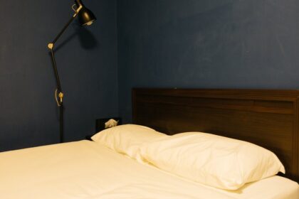 découvrez les principales causes des troubles du sommeil, leurs impacts sur la santé et des conseils pratiques pour améliorer la qualité de votre sommeil. apprenez à identifier les symptômes et à trouver des solutions adaptées pour mieux dormir.