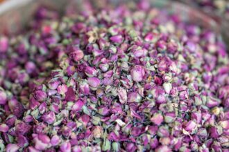 découvrez notre infusion aux herbes dédiée au sommeil, une délicieuse combinaison de plantes apaisantes qui favorise la relaxation et un sommeil réparateur. profitez d'une tasse de sérénité avant de vous coucher.