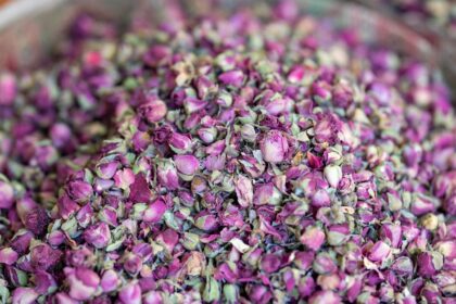 découvrez notre infusion aux herbes dédiée au sommeil, une délicieuse combinaison de plantes apaisantes qui favorise la relaxation et un sommeil réparateur. profitez d'une tasse de sérénité avant de vous coucher.
