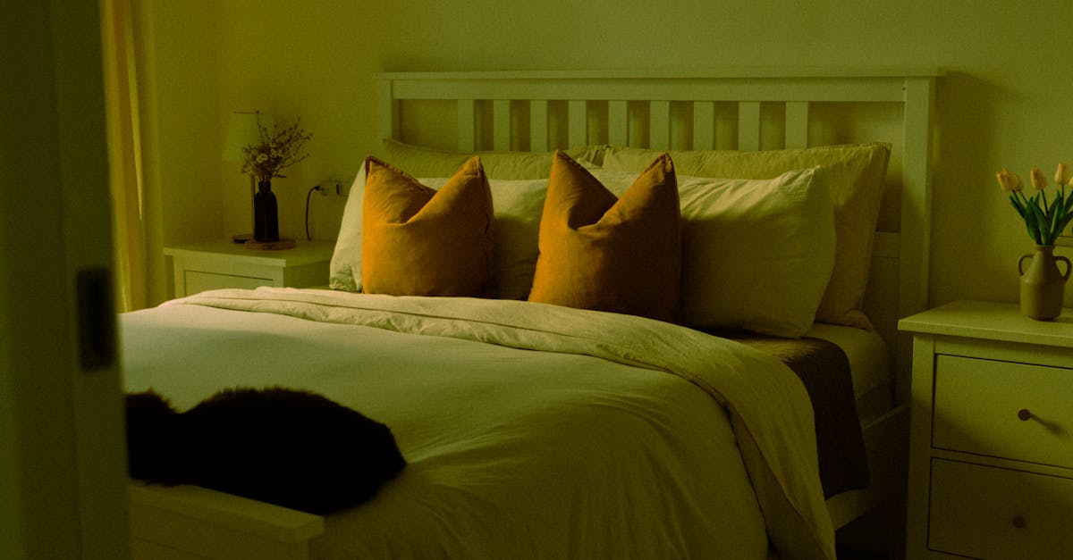 découvrez la polygraphie du sommeil, une méthode non invasive pour analyser et diagnostiquer les troubles du sommeil. améliorez la qualité de votre sommeil et comprenez vos habitudes nocturnes grâce à cet examen spécialisé.