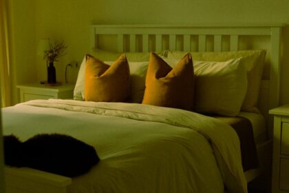 découvrez les causes et solutions de la régression du sommeil chez les bébés. apprenez comment gérer ces périodes difficiles pour assurer un meilleur sommeil pour votre enfant et vous-même.