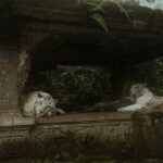 découvrez sleep stone, votre solution naturelle pour améliorer la qualité de votre sommeil. cette pierre apaisante favorise la relaxation et vous aide à plonger dans des nuits réparatrices. essayez-la dès aujourd'hui et réveillez-vous chaque matin plein d'énergie.