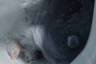 découvrez les nombreux bienfaits du bain de vapeur pour votre santé et votre bien-être. améliorez votre circulation sanguine, soulagez les douleurs musculaires et profitez d'une peau éclatante grâce à cette pratique apaisante. adoptez le bain de vapeur pour un moment de détente ultime.