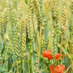 découvrez tout ce que vous devez savoir sur l'allergie au soleil : symptômes, causes, traitements et conseils pour protéger votre peau des rayons uv. informez-vous sur les précautions à prendre pour profiter du soleil en toute sécurité.